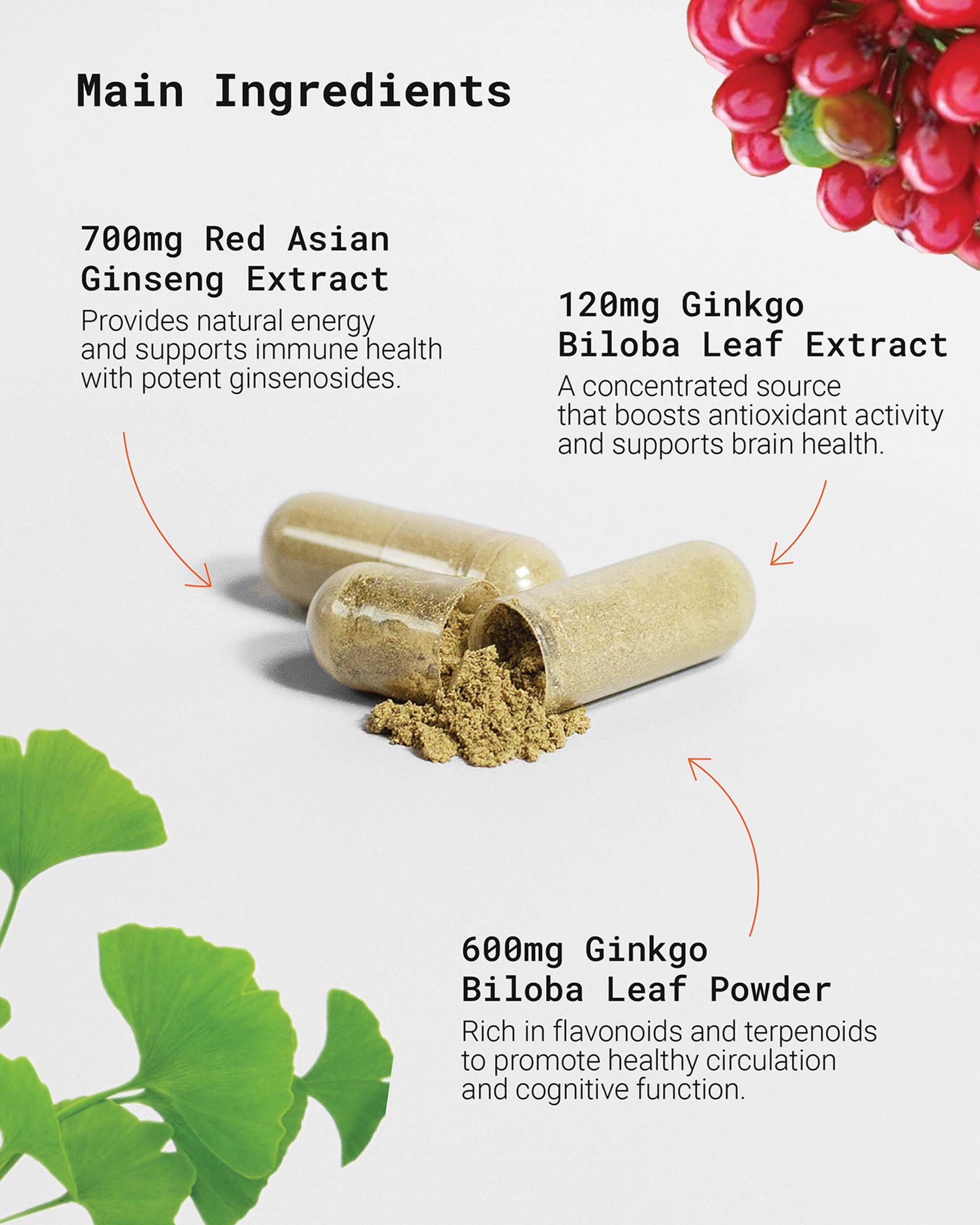 Ginkgo Biloba Ginseng supplement to support healthy circulation, boost cognitive function, and improve focus. Great for those searching for natural brain boosters to enhance mental performance and clarity.