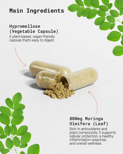 Moringa Pure supplement to support overall wellness, boost energy, and enhance immune function. Great for individuals searching for a nutrient-dense superfood to improve vitality and promote long-term health.