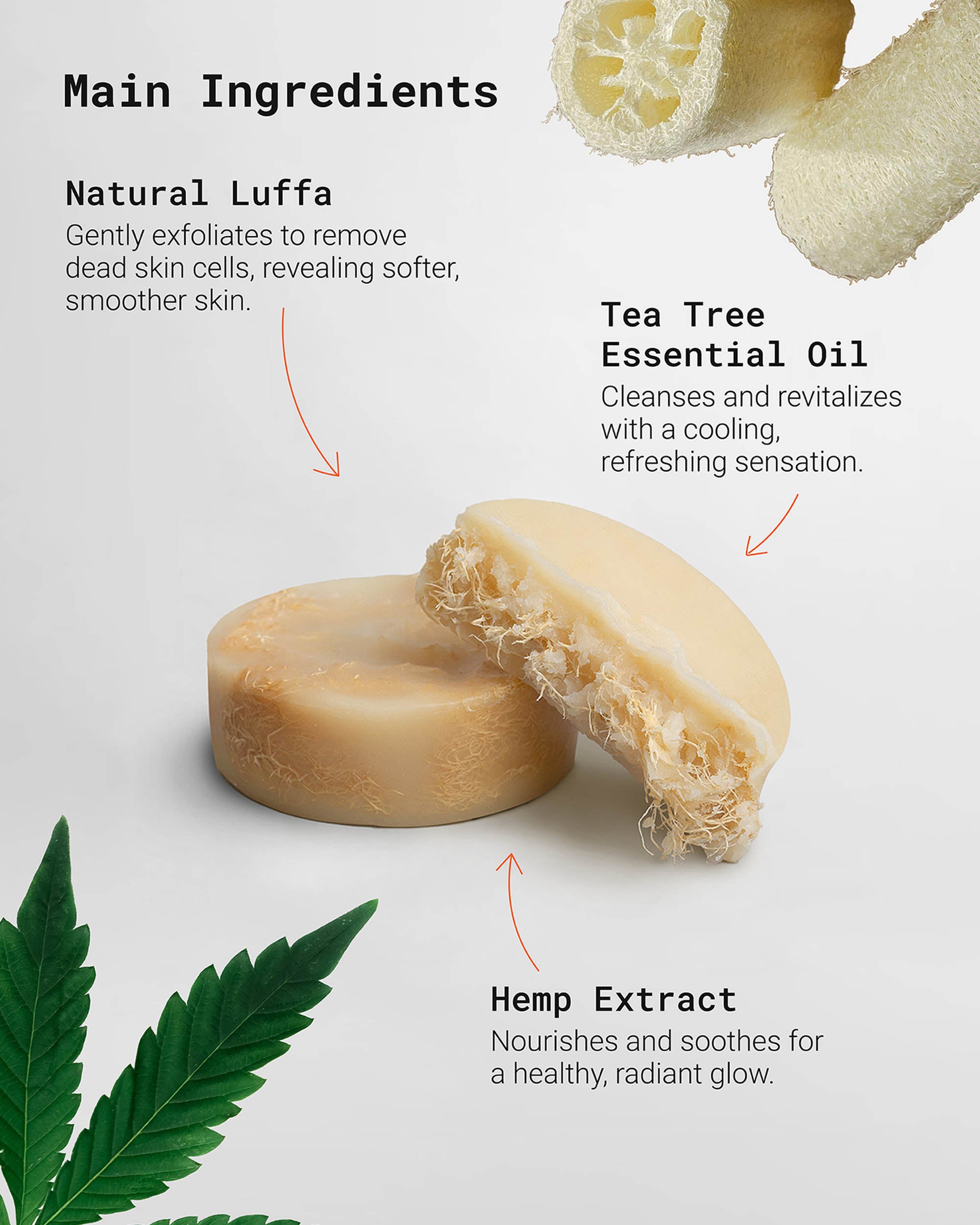 Handmade Exfoliating Luffa Bar formulated to gently exfoliate, smooth, and hydrate the skin. Great for individuals searching for a natural soap to improve skin texture and reduce roughness.